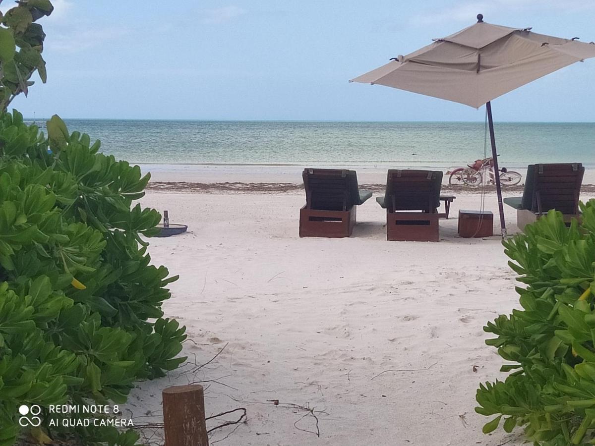 Mi Habitat Holbox-Maravilla Natural Exterior foto